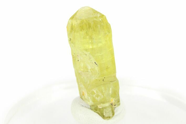 Gemmy Yellow-Green Apatite Crystal - Morocco #276535